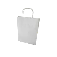 PAPER BAG G16 MEDIUM - WHITE T/H (CTN1X250PCS)