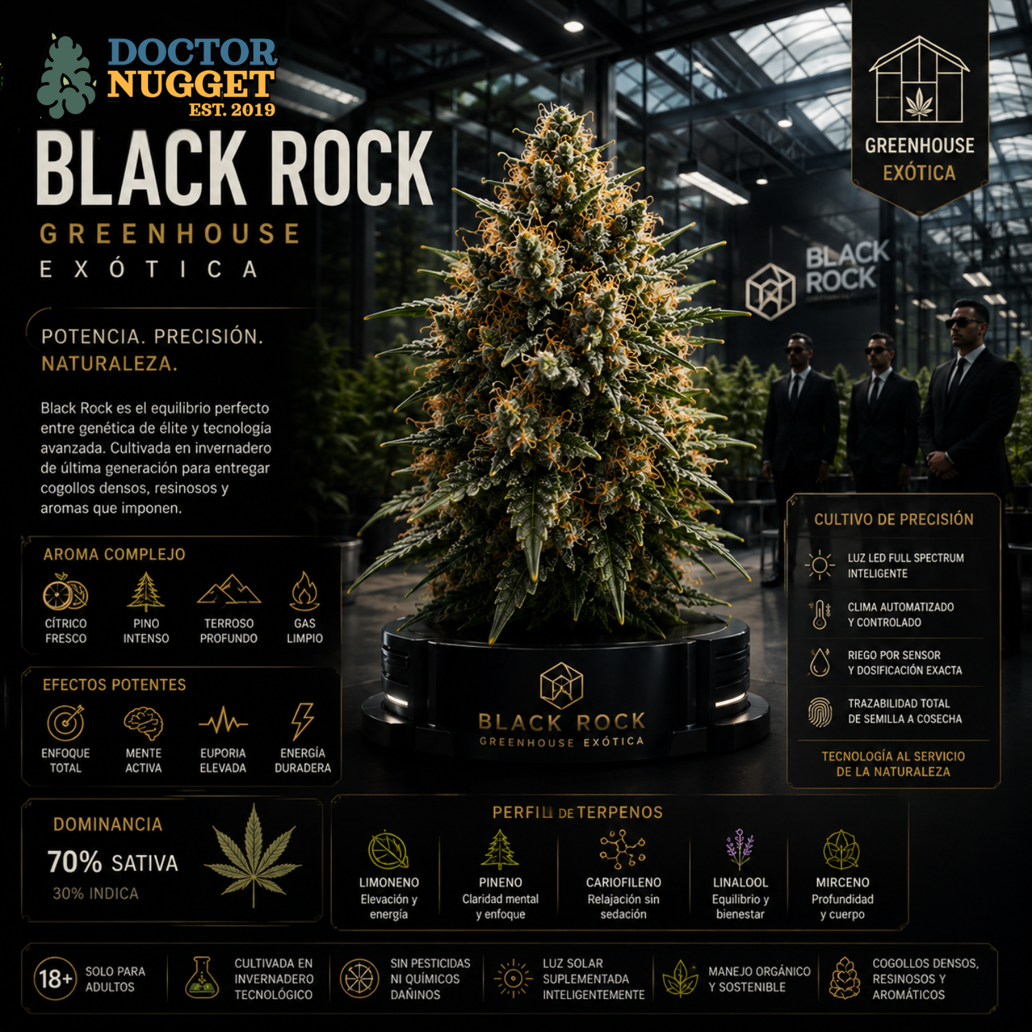 Dr. Nugget Black Rock Greenhouse exótica flor