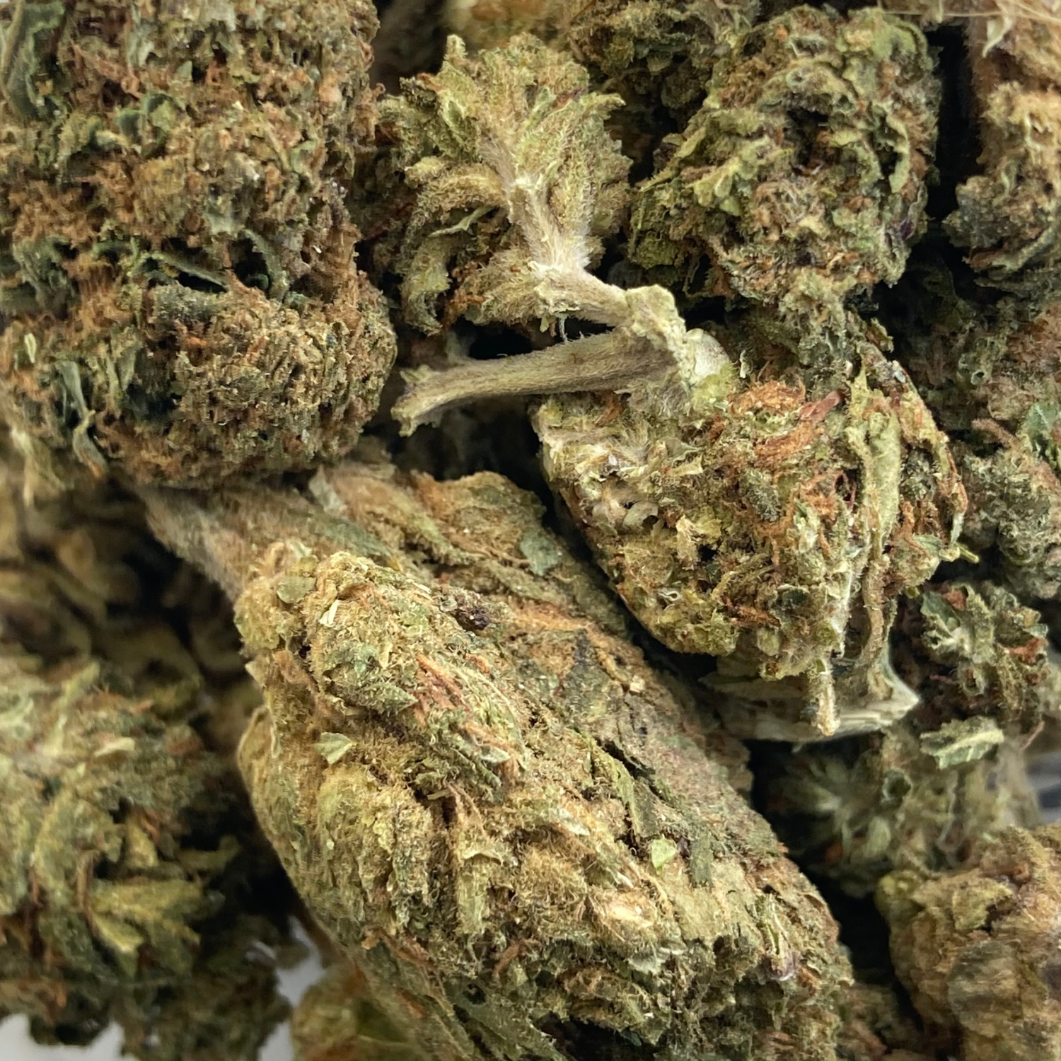 Black Rock Greenhouse Exótica- 28 gr