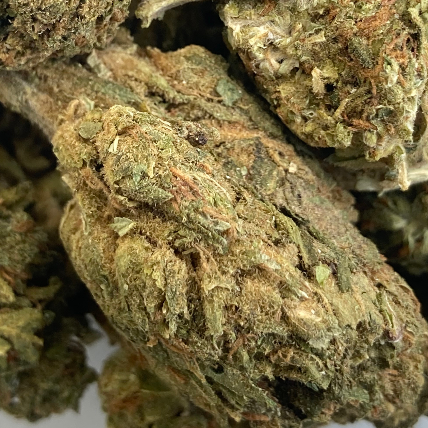 Black Rock Greenhouse Exótica- 28 gr
