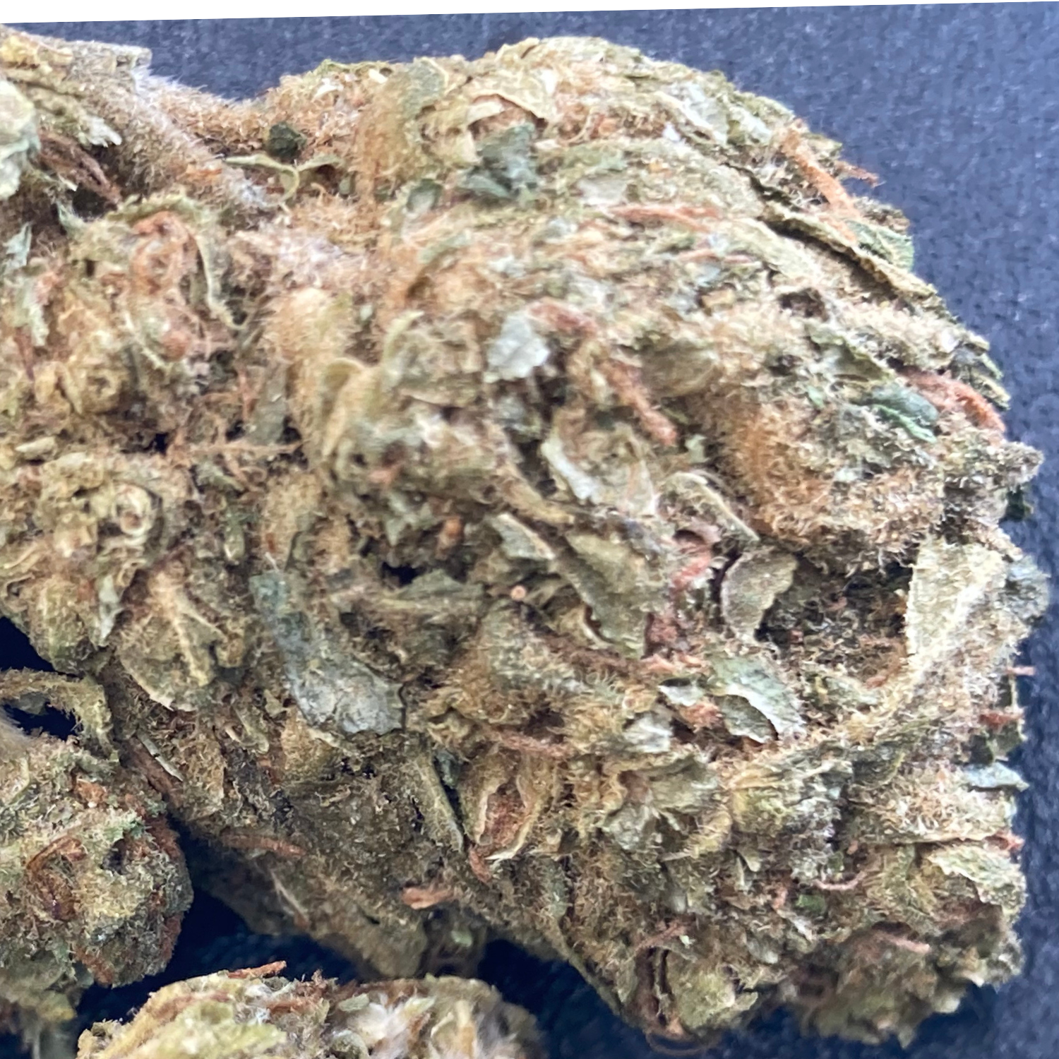 Black Rock Greenhouse Exótica- 28 gr