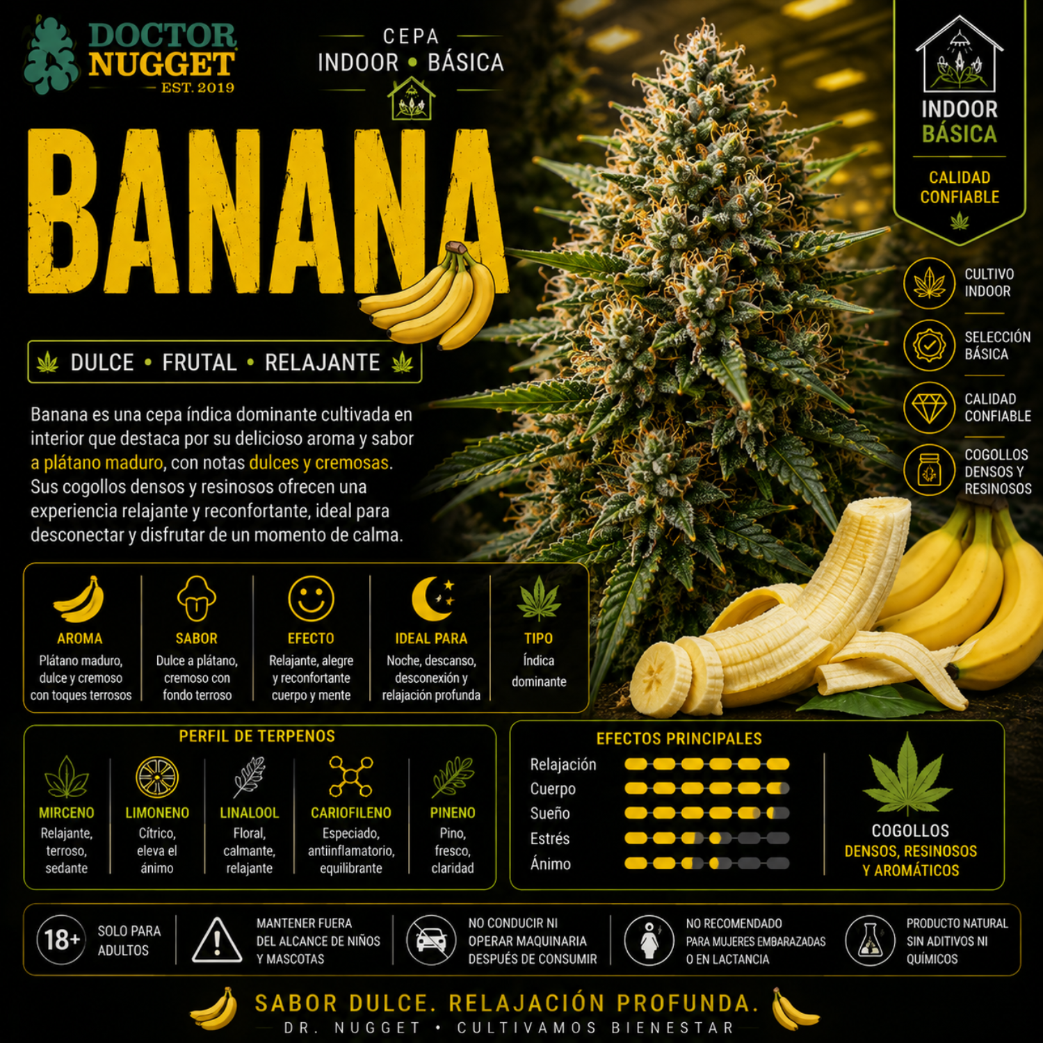 Dr. Nugget Banana THC Flor