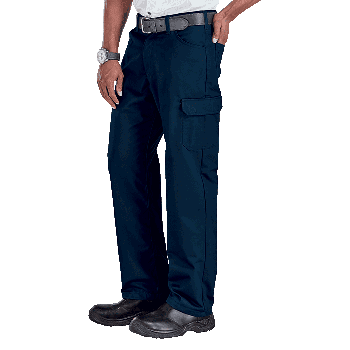 Brixton Pants