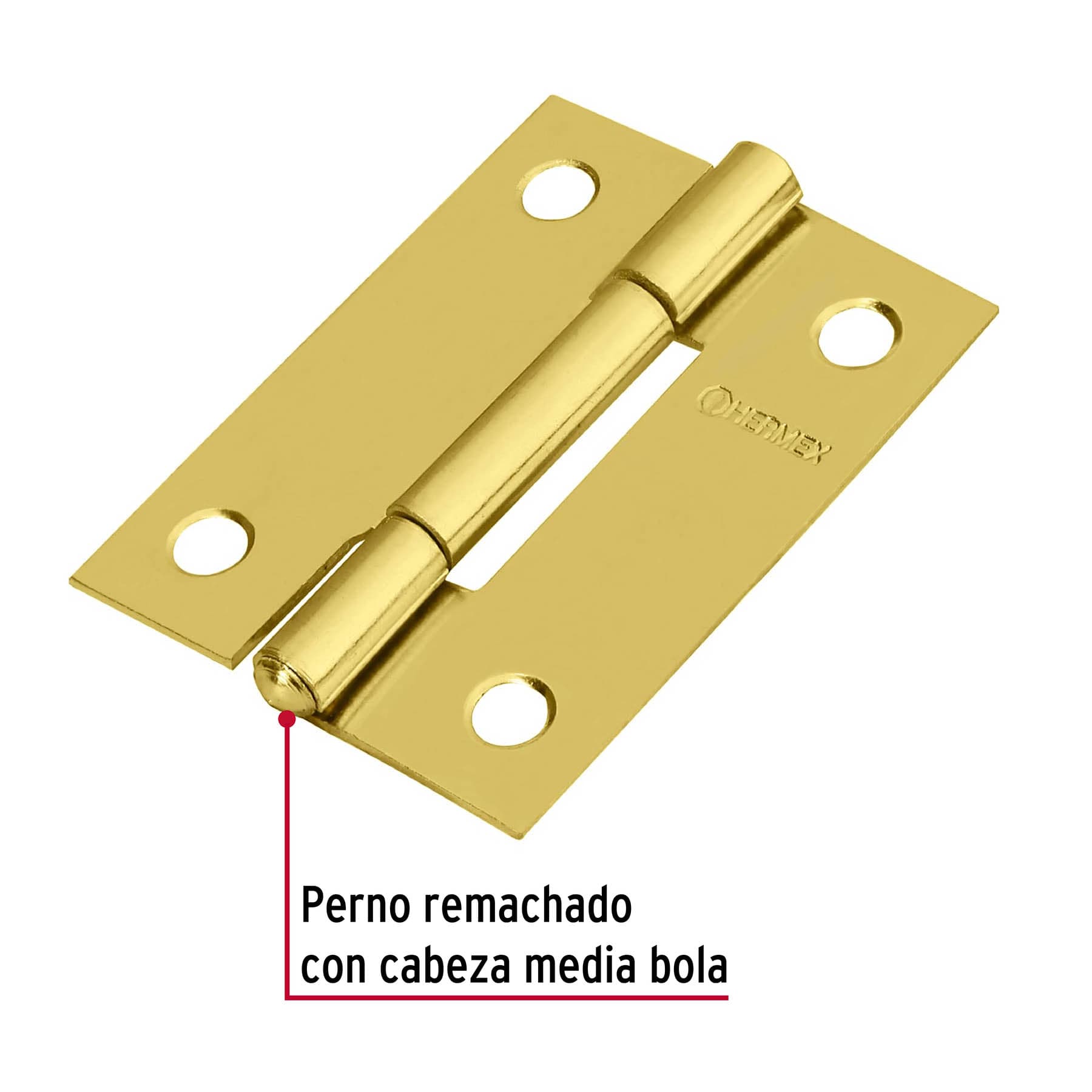 Bisagra rectangular 2', acero latonado - BR-201 / 43194
