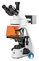 bScope fluorescence