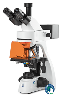 bScope fluorescence