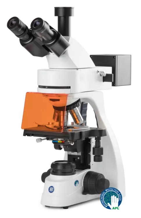 bScope fluorescence