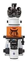 bScope fluorescence