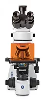 bScope fluorescence