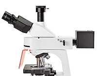 bScope fluorescence