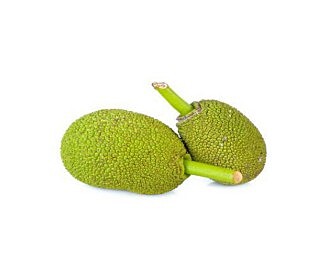 Baby Jackfruit (800gm)