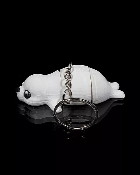 Baby Seal
