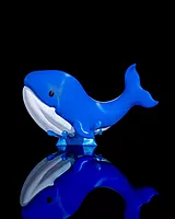 Baby Whale