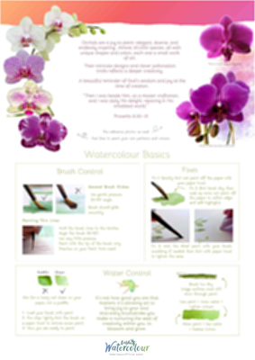 Moth Orchid Instructions Poster