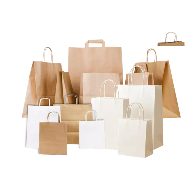 PAPER BAG G15 - WHITE T/H (CTN1X250PCS)