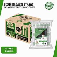 Baggasse Straw Eco-Island 8.27" 70/100