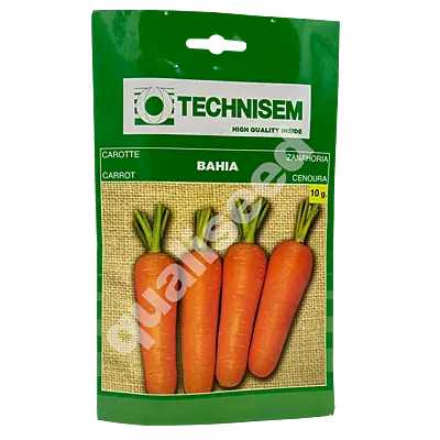 CARROT BAHIA