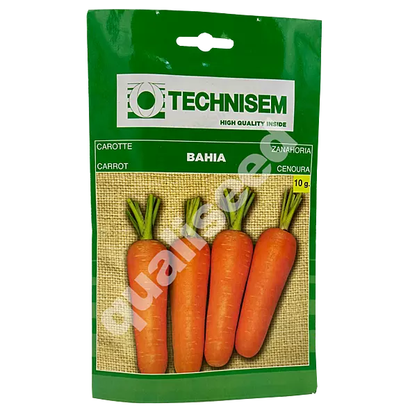 CARROT BAHIA