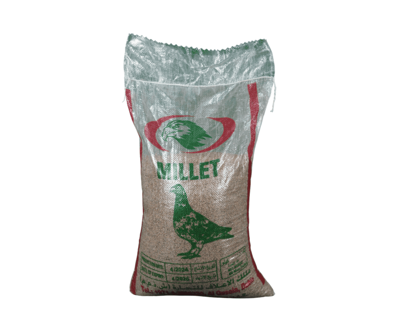 Bajra 10kg (Malek Aalaf)