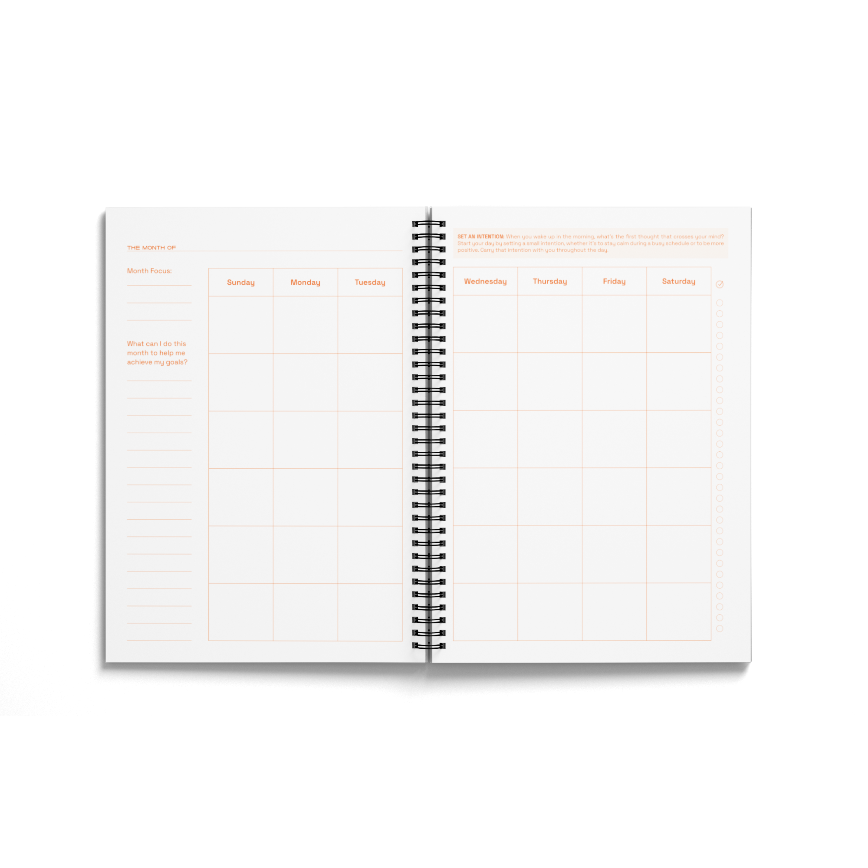 Balance Planner in Dark Balance Planner in Dark