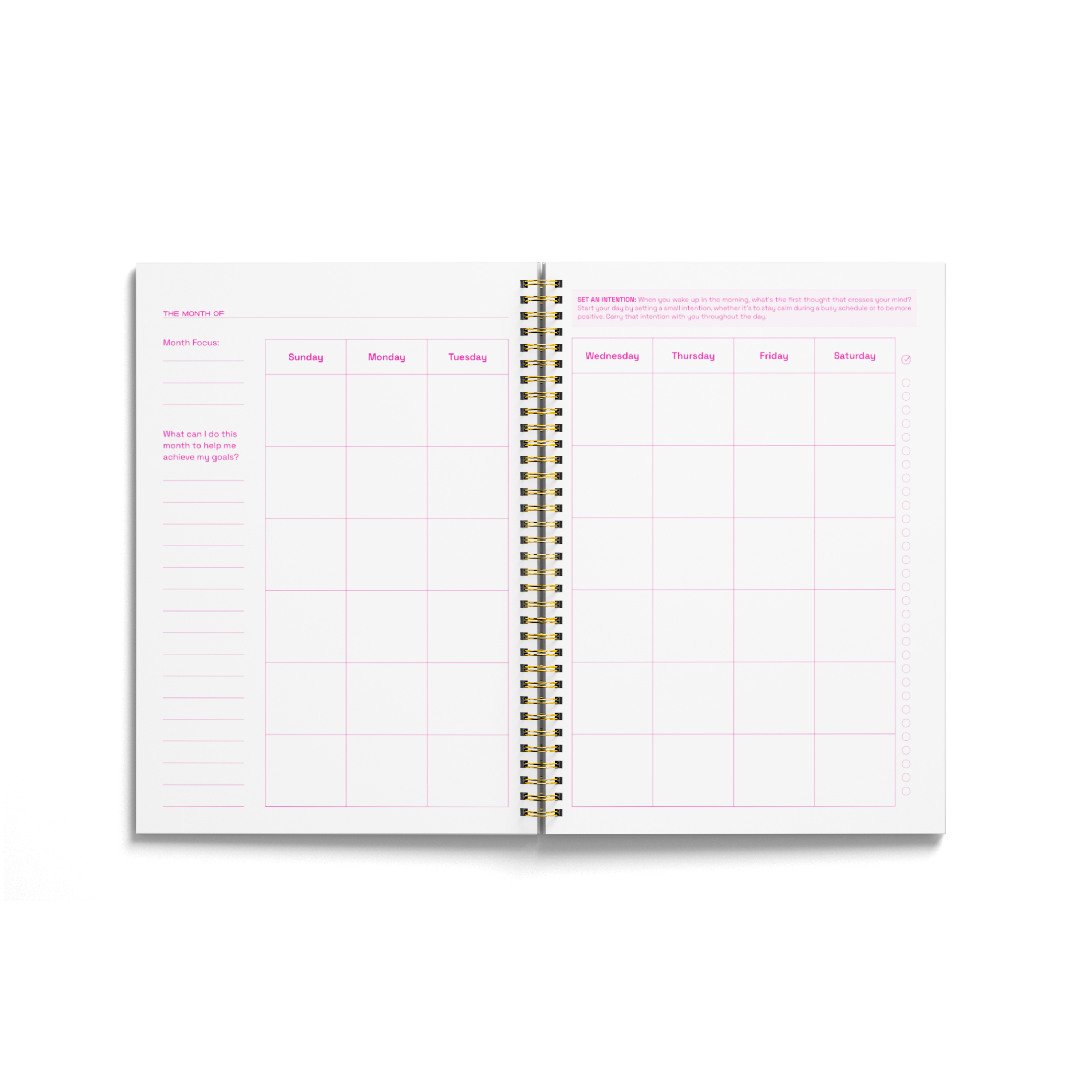 Balance Planner in Neon