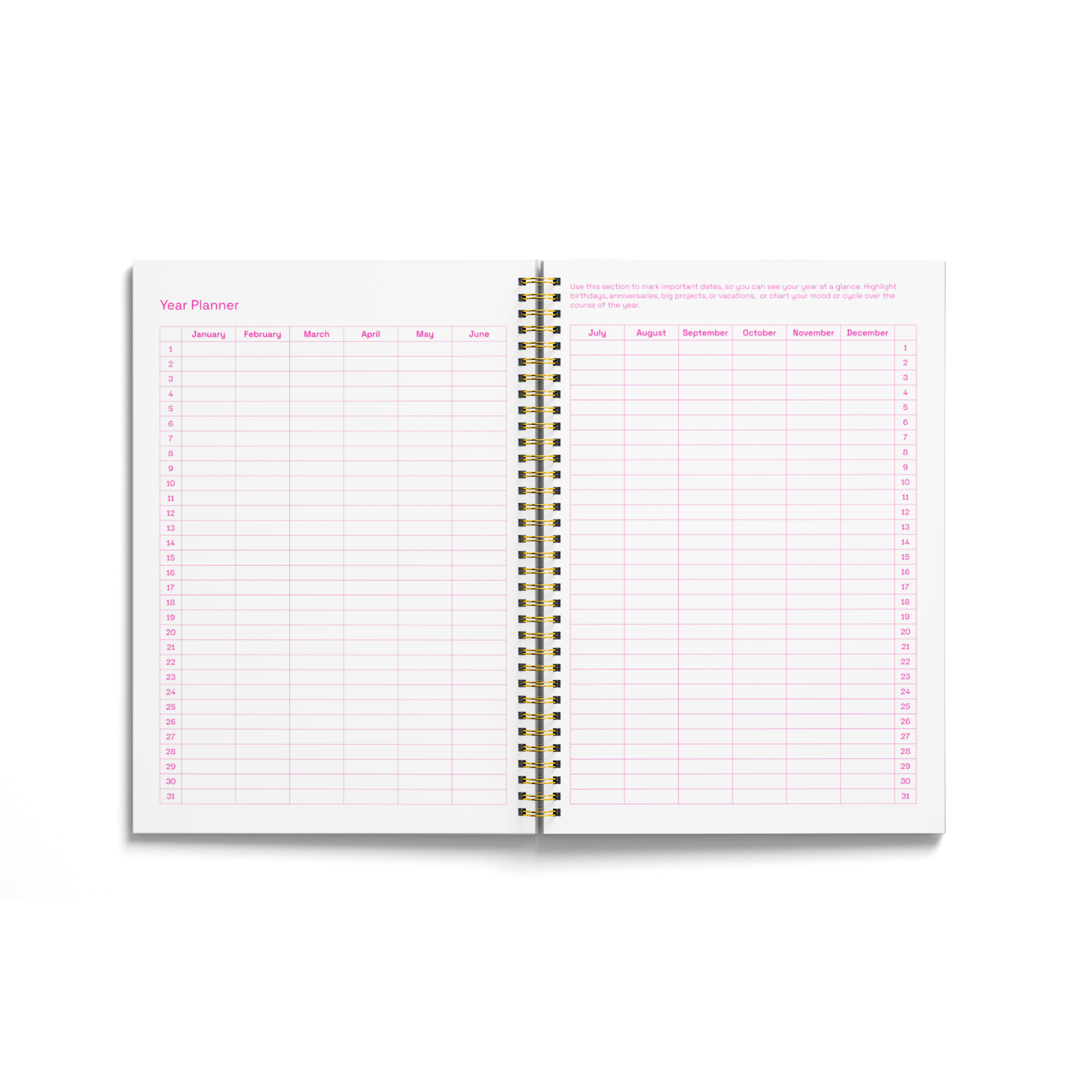 Balance Planner in Neon