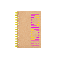 Balance Planner in Neon