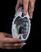 Bald Eagle Wall Light