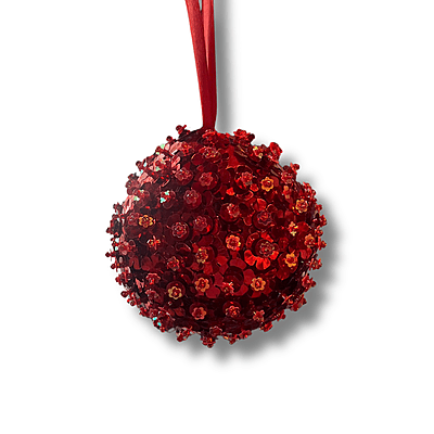 Christmas Ornament Christmas Ornament