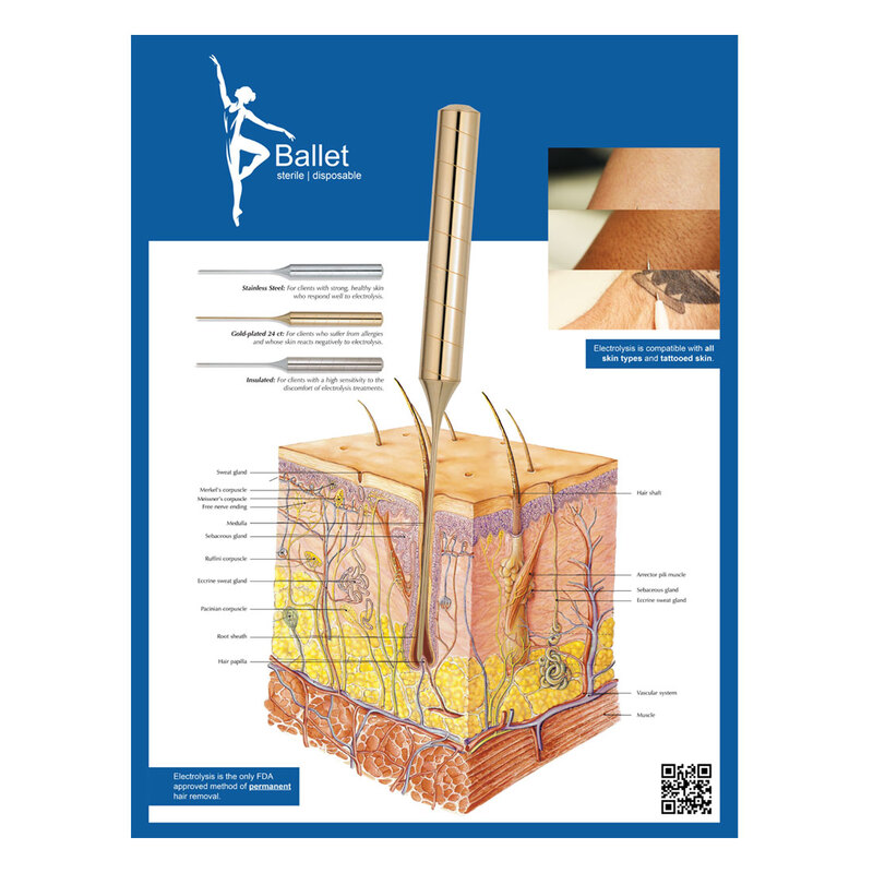 Ballet Poster - English