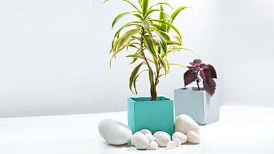 Pushpdhani Pot