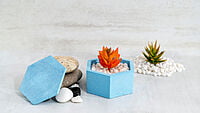 Satha: Tray&Pot