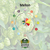 Lupulo100gr Huell Melon