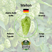 Lupulo100gr Huell Melon