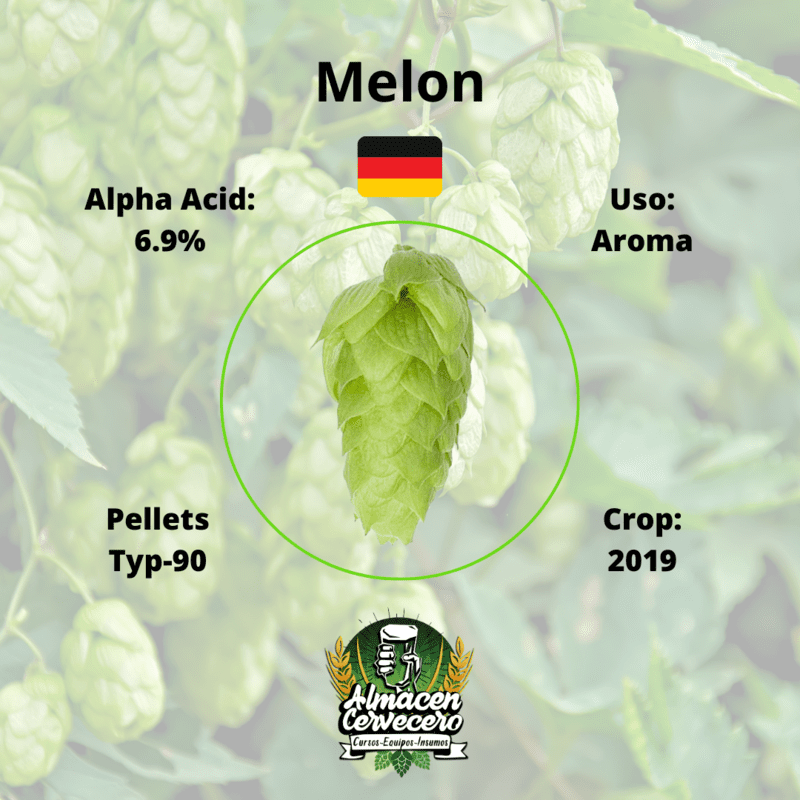 Lupulo100gr Huell Melon