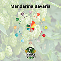 Lupulo1kg Mandarina Bavaria GER BW Lupulo1kg Mandarina Bavaria GER BW