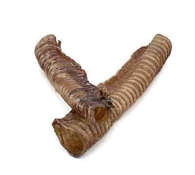 Beef Trachea - 12"