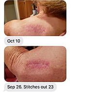 Potency No. 710 Gold Skin Serum