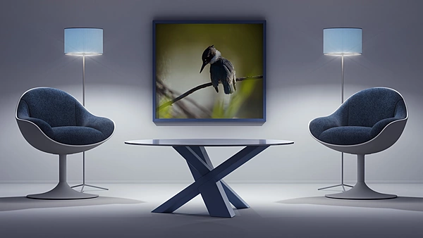CB Photography Belted Kingfisher | Fine Art Bird Portrait