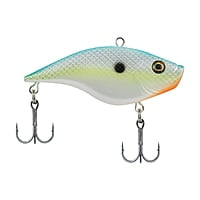 Berkley Warpig Junior Berkley Warpig Junior