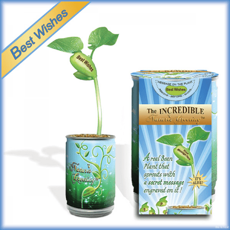 Nature's Greeting Best Wishes Growing Kit