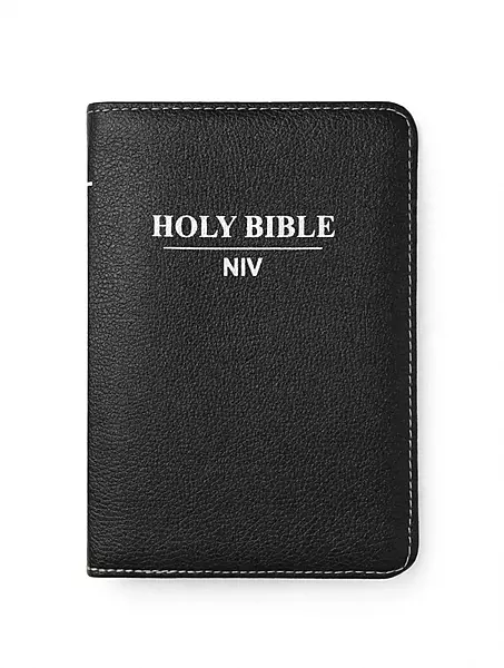 Black NIV Compact Gilt Zip