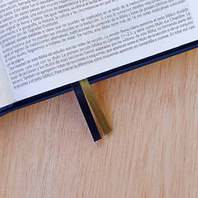 Biblia De Estudio Esquematizada Con Cierre