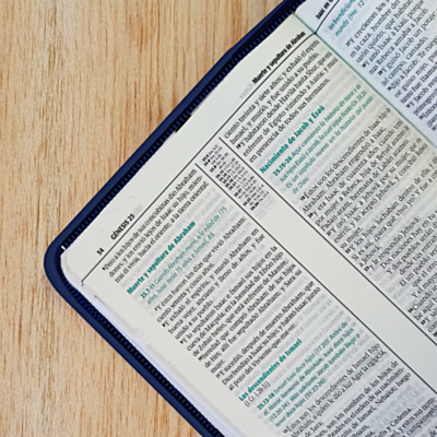 Biblia De Estudio Esquematizada Con Cierre