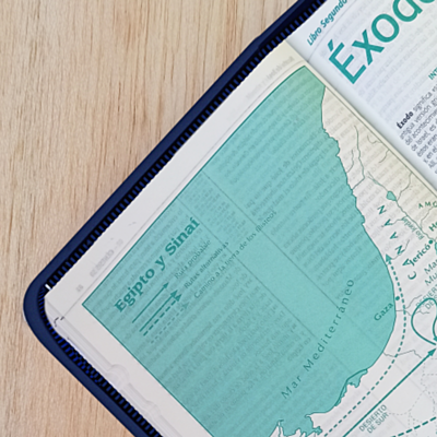 Biblia De Estudio Esquematizada Con Cierre