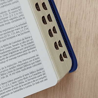 Biblia De Estudio Esquematizada Con Cierre