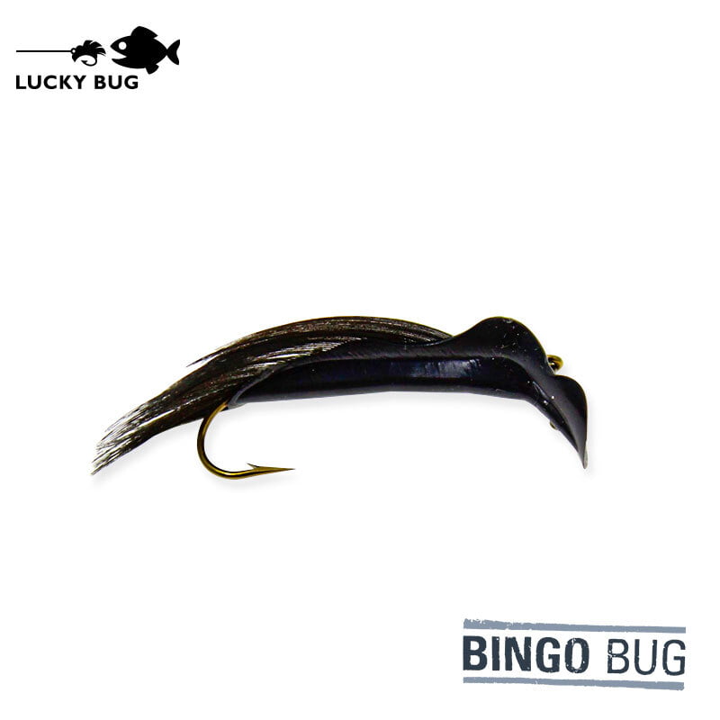 Lucky Bug #8 Bingo Bug Lucky Bug #8 Bingo Bug