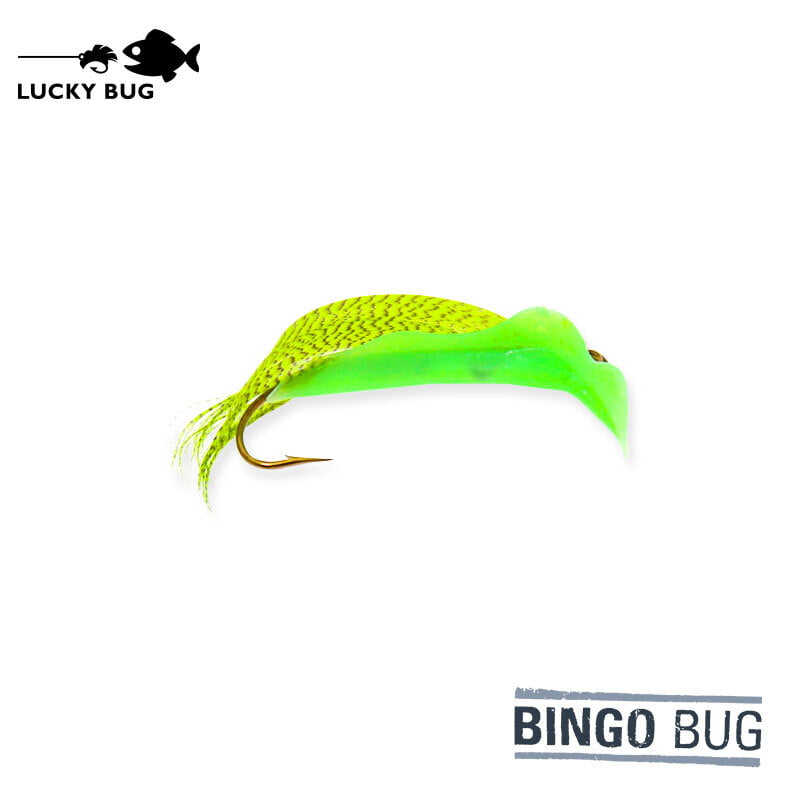Lucky Bug #2 Bingo Bug Lucky Bug #2 Bingo Bug