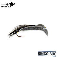 Lucky Bug #6 Bingo Bug Lucky Bug #6 Bingo Bug