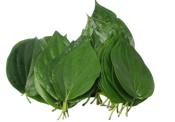Bitter leaf